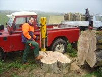  looking happy, as having a splitter on the ground means we don't have to lift these huge rounds!